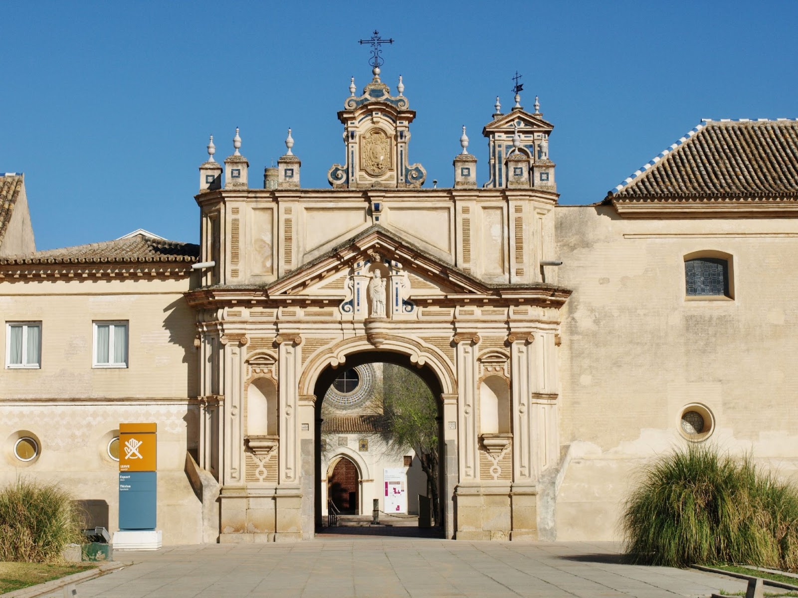 Descubre el ombú centenario del Monasterio de la Cartuja en Sevilla y disfruta la ciudad sin cargas con Saturno Store: consigna de maletas y duchas a 20 metros de la Catedral