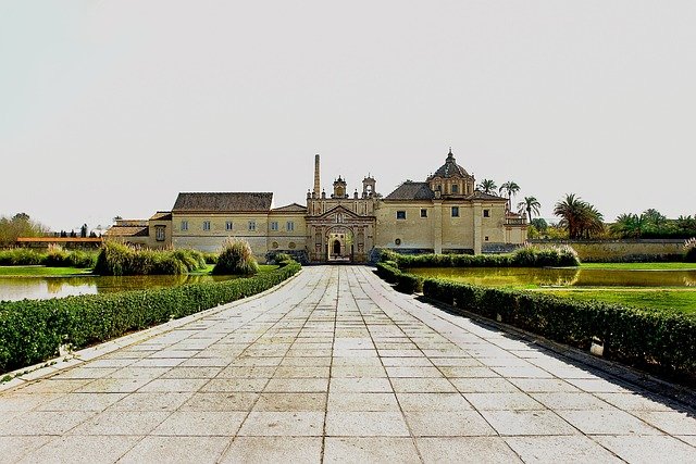 The centenary Ombú tree at the Monastery of La Cartuja: History and curiosities in Seville